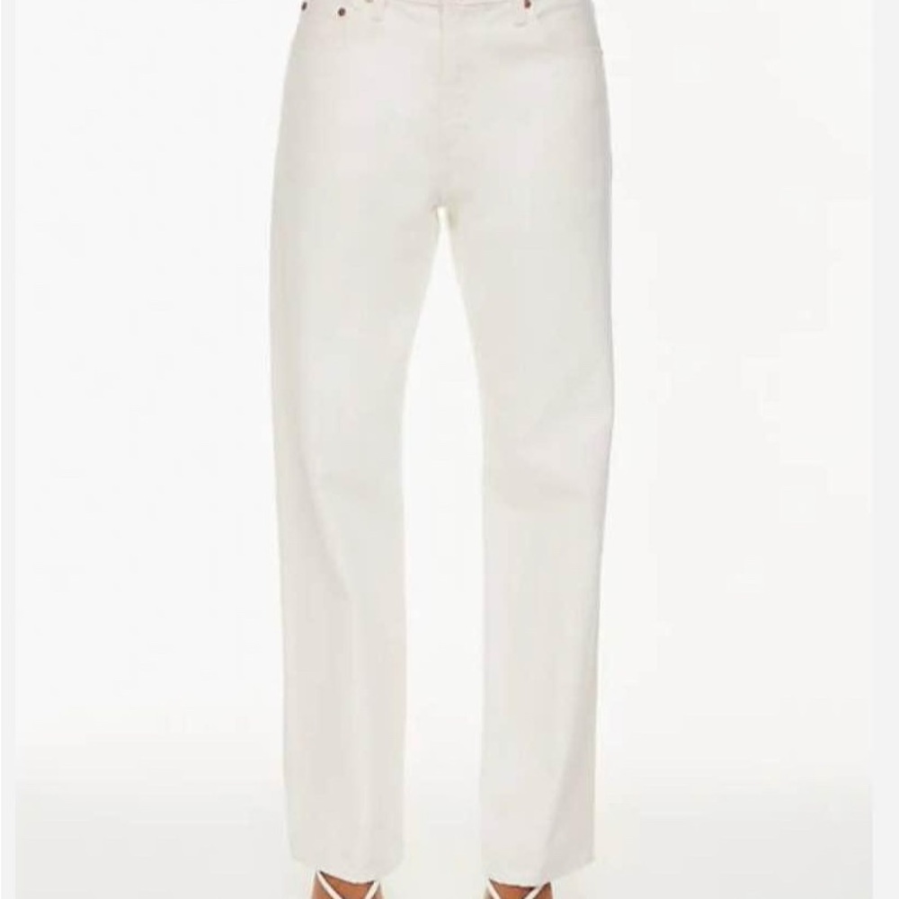 Aritzia '90s Iggy Lo-Rise Baggy Jean